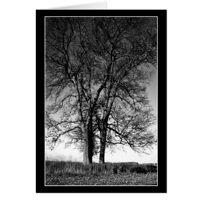 Ready for Winter (Front)