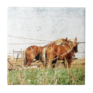 Ready For Work, Two Draught Horses Tile