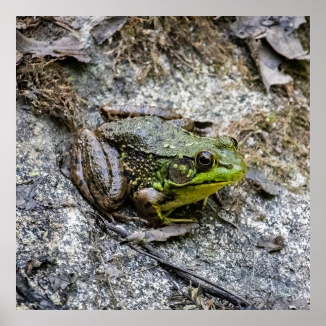 Ready to Go Poster (Front)