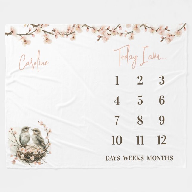 Ready to Hatch! Cute Birds Baby Milestone Fleece Blanket (Front (Horizontal))