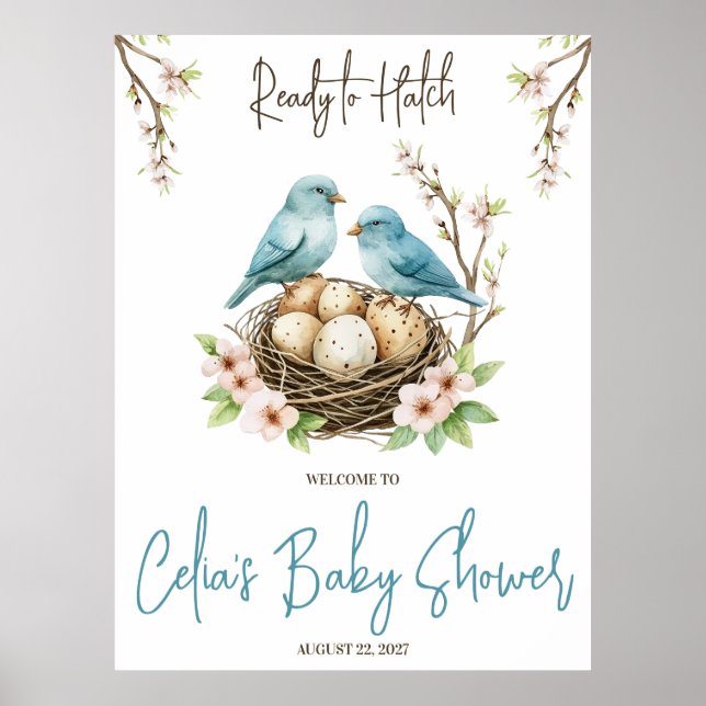 Ready to Hatch! Cute Birds Baby Shower Welcome Poster (Front)