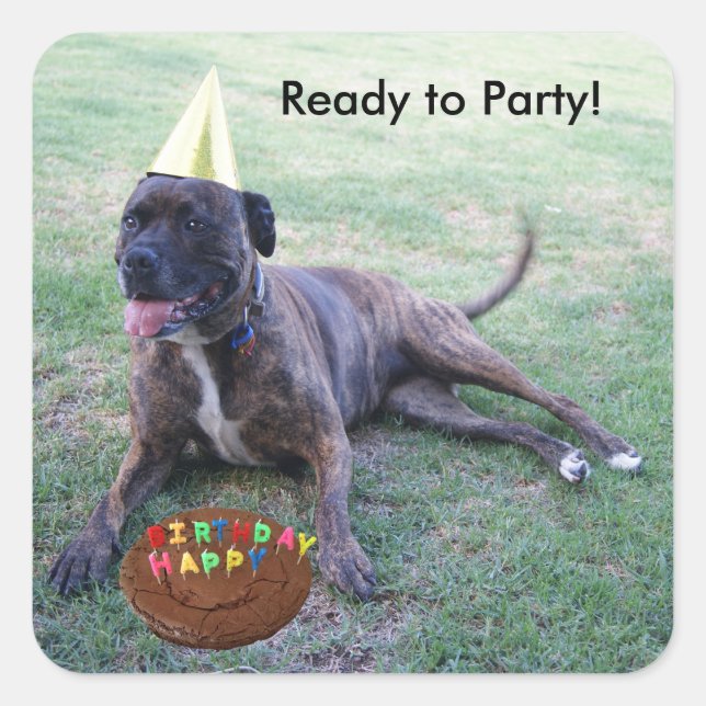 Ready to Party with Birthday Dog and Brownie Cake Square Sticker (Front)