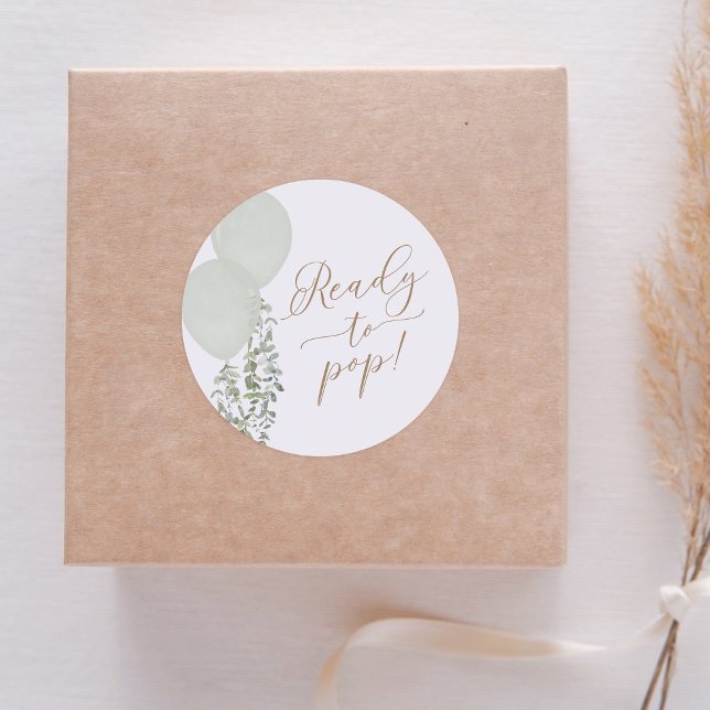 Ready to Pop Sage Green Balloon Twin Baby Shower Classic Round Sticker (Creator Uploaded)