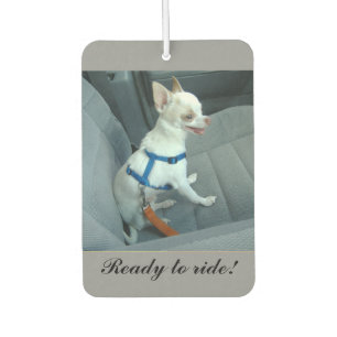 Ready to Ride Car Air Freshener