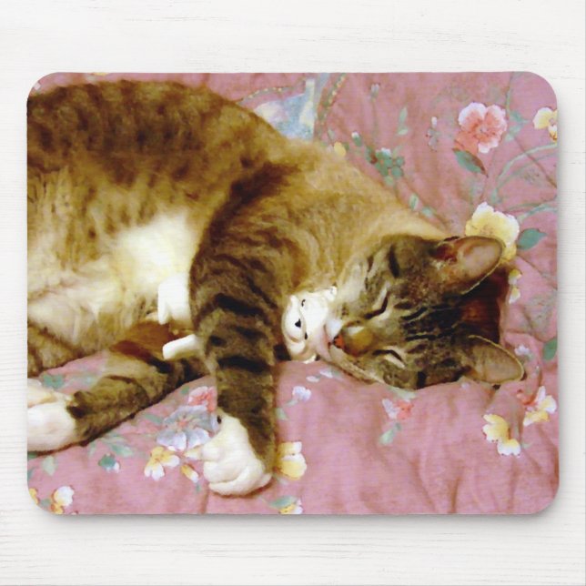 Real Cat, Fake Cat 2 Mouse Pad (Front)
