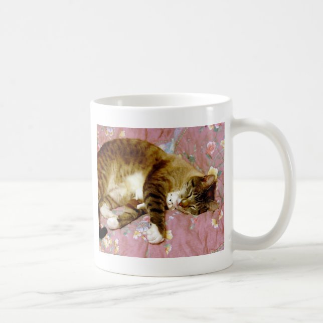 Real Cat, Fake Cat  Coffee Mug (Right)