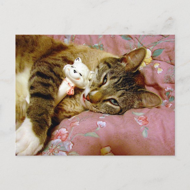 Real Cat, Fake Cat Postcard (Front)