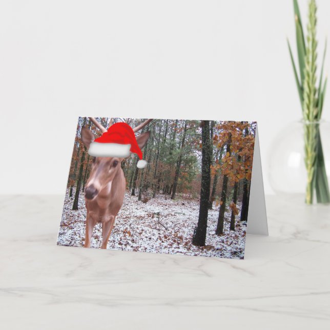 Real Deer Sporting Santa Hat Christmas Scene Card (Front)