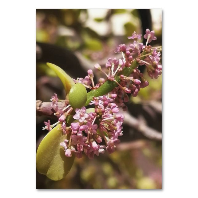 Real environment view table number (Back)