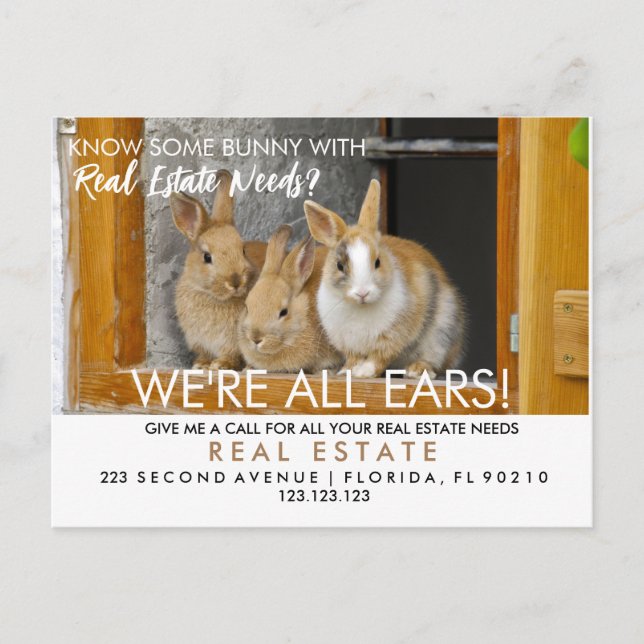 real estate easter bunny referrals Announcement  Postcard (Front)