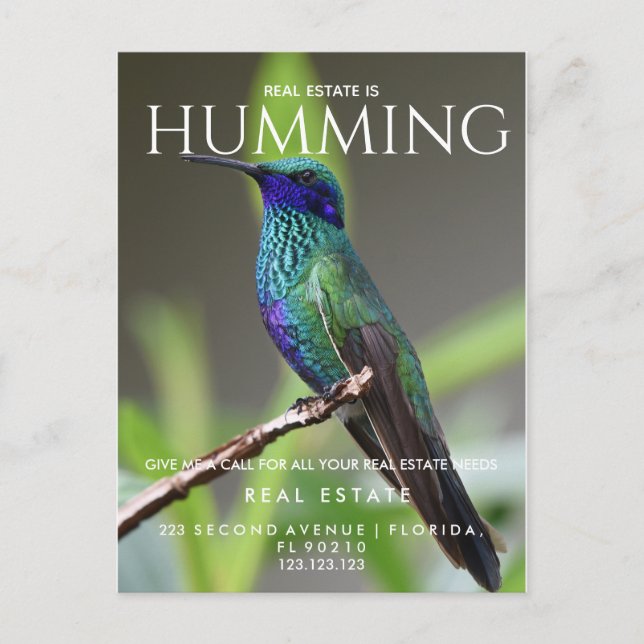 Real estate  humming bird Pop by  Postcard Square (Front)