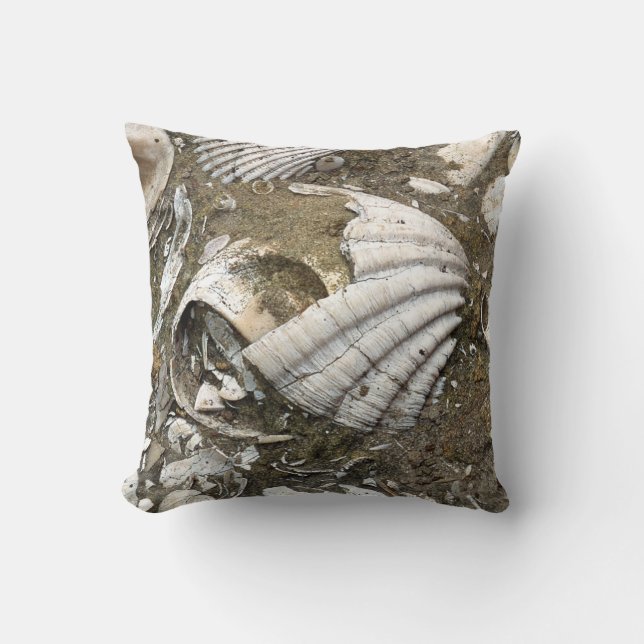 Real Fossil Image Pillow (Front)