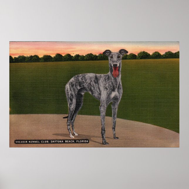 REAL HUNTSMAN Famous Greyhound Dog Poster (Front)
