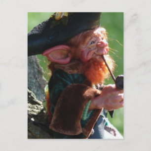 real leprechaun postcard