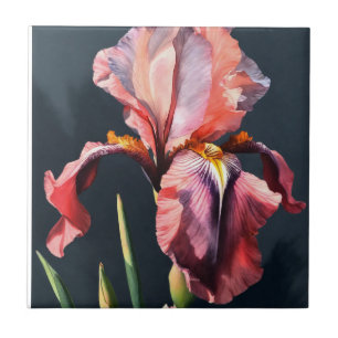 Real Light Pastel Crimson Pink Iris Ceramic Tiles