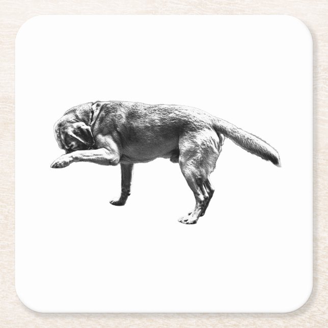Real Moments Square Paper Coaster (Front)