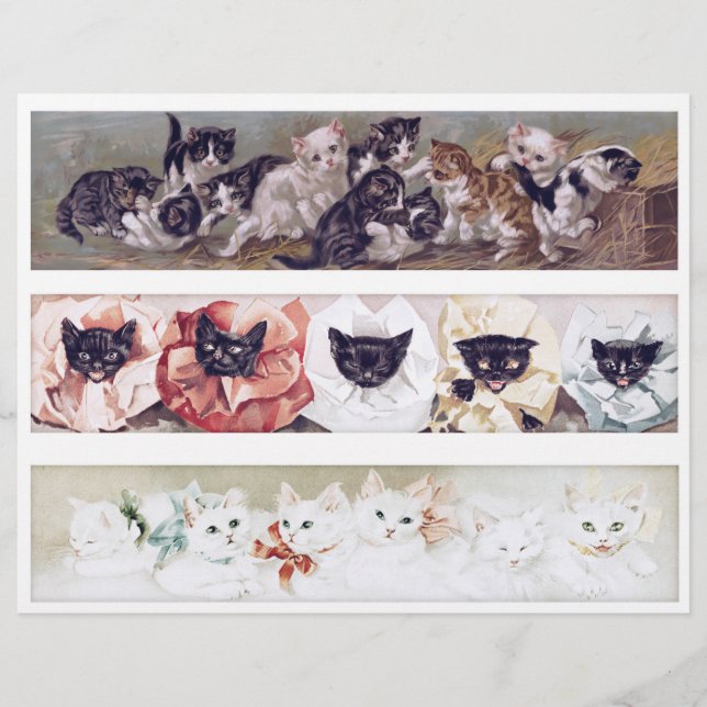 Real (not AI) Long Victorian Era Cat Illustrations (Front)