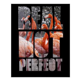 Real Not Perfect Quote Flamingo Tropical Birds Pos Poster