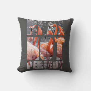 Real Not Perfect Quote Flamingo Tropical Birds T-S Cushion