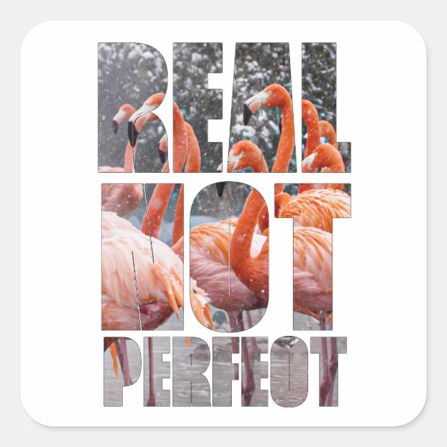 Real Not Perfect Quote Flamingo Tropical Sticker (Front)