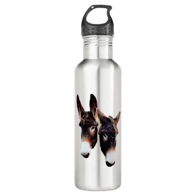 Real photo duo of donkeys - Stylized 710 Ml Water Bottle (Front)