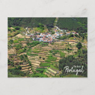 Real Portugal- Spectacular Terraced Farming Postcard