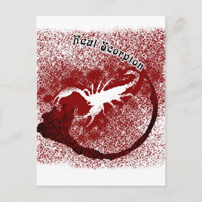 Real Scorpion Postcard (Front)