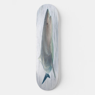 Real shark in water skateboard