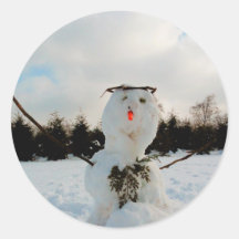 Real snowman photo