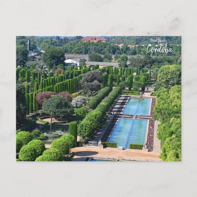 Real Spain- Cordoba Postcard (Front)