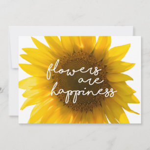 Real Sunflower Photo Field Flowers Are Happiness