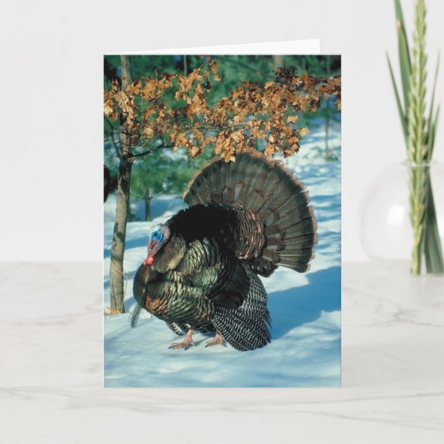 Real Turkey Christmas Thanksgiving Winter Xmas Holiday Card (Front)