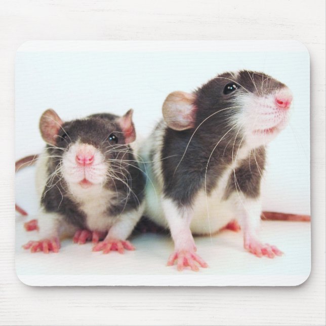 Real Women Own Rats! Mouse Pad (Front)
