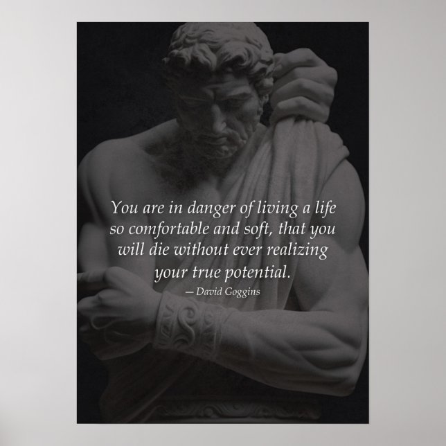 Realise Your True Potential - Motivational Poster (Front)