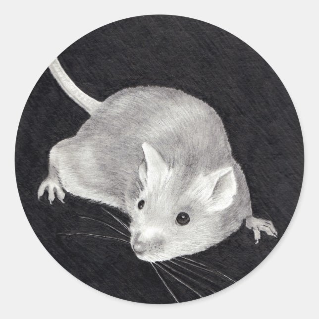 REALISM DRAWING OF MOUSE: STICKERS (Front)