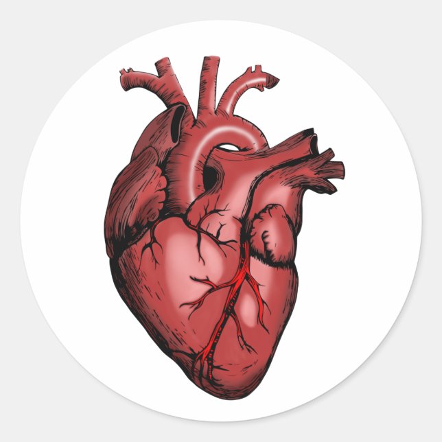 Realistic Anatomical Heart Image Classic Round Sticker (Front)