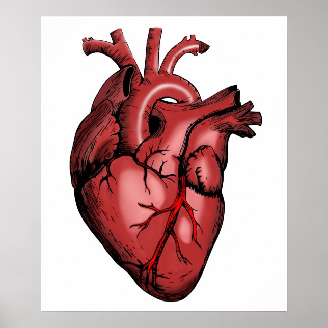 Realistic Anatomical Heart Image Poster (Front)