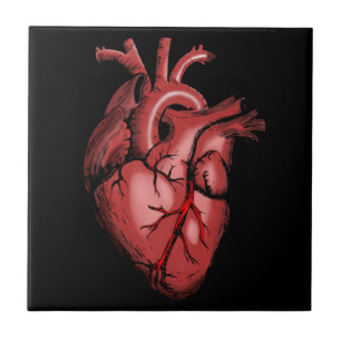 Realistic Anatomical Heart Image Tile