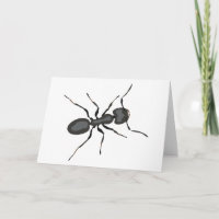 Realistic Ant