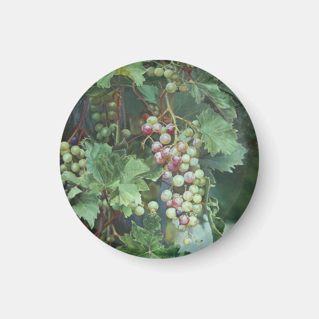 Realistic Grape Vine with Leaves – Fine Art Magnet (Front)