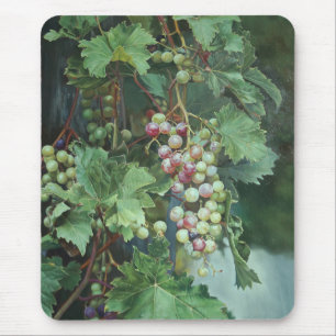 Realistic Grape Vine with Leaves – Fine Art Mouse Pad