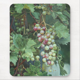 Realistic Grape Vine with Leaves – Fine Art Mouse Pad