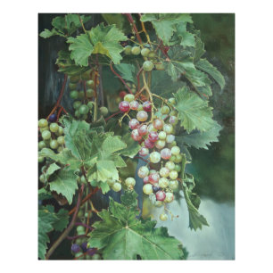 Realistic Grape Vine with Leaves – Fine Art Photo Print