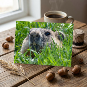 Realistic Groundhog Head Peeking Through Grass Art Postcard