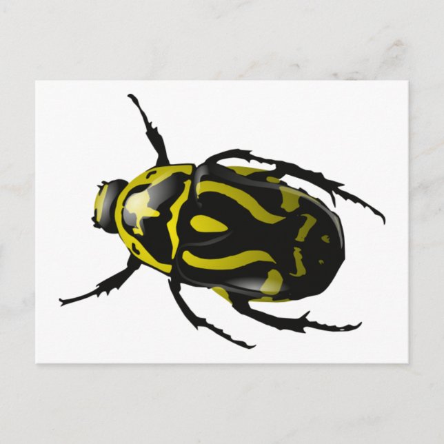 Realistic Hornless Yellow and Black Beetle Insect Postcard (Front)