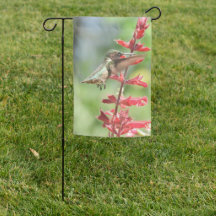 Realistic Hummingbird Garden Flag