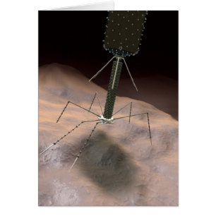 Realistic Illustration of bacteriophage