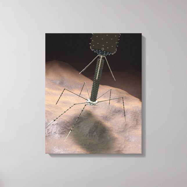 Realistic Illustration of bacteriophage Canvas Print (Front)