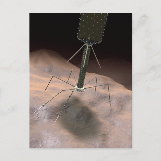 Realistic Illustration of bacteriophage Postcard (Front)