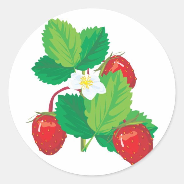 realistic juicy strawberries classic round sticker (Front)